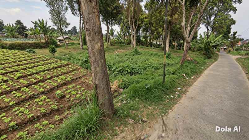 dijual tanah kebon hui