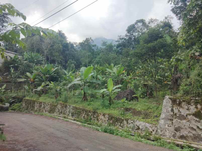 dijual tanah kebun pinggir jl sayana kuningan