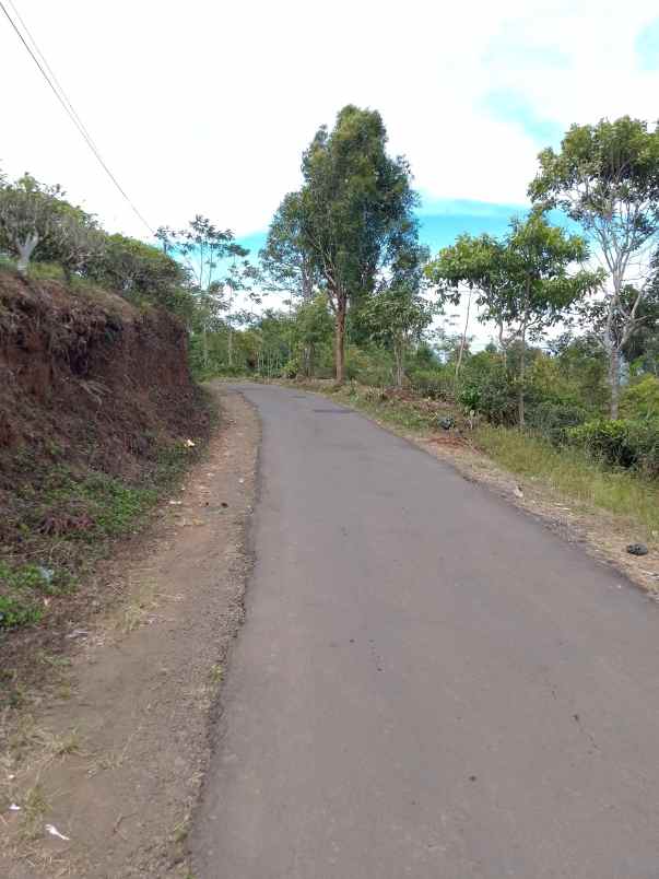 dijual tanah kebun produktif pinggir jalan