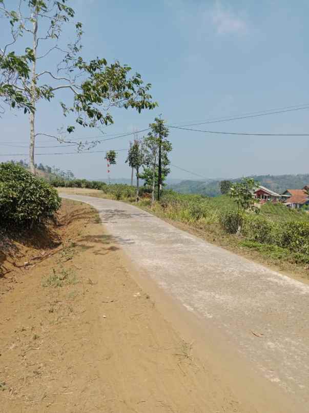 dijual tanah kebun produktif pinggir jalan