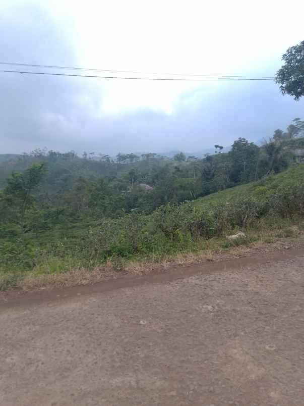 dijual tanah kebun produktif pinggir jalan