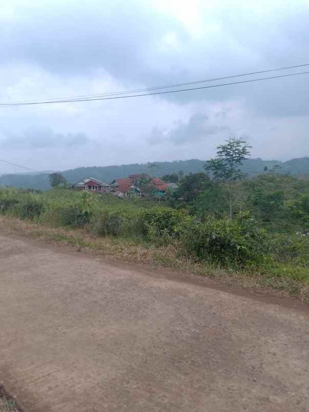 dijual tanah kebun produktif pinggir jalan