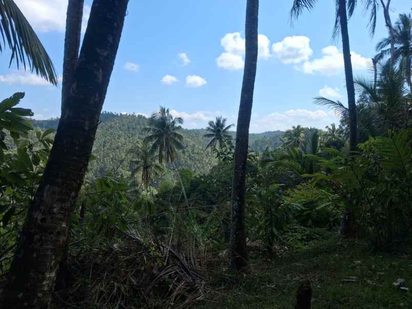 dijual tanah luas besar los sungai view perbukitan