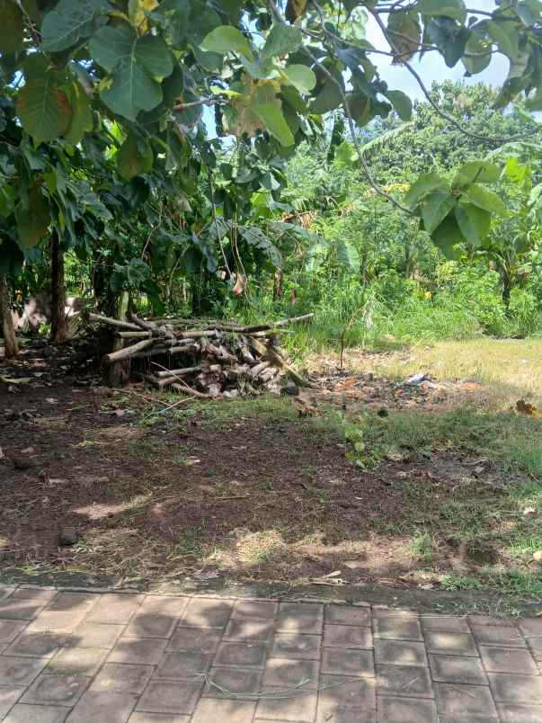 dijual tanah melangkaja