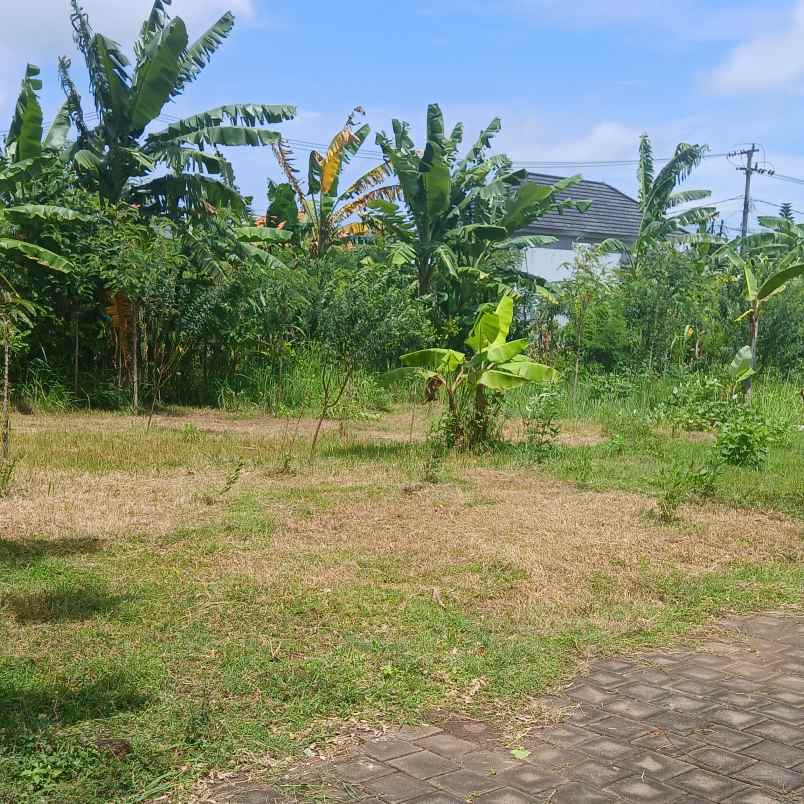 dijual tanah melangkaja