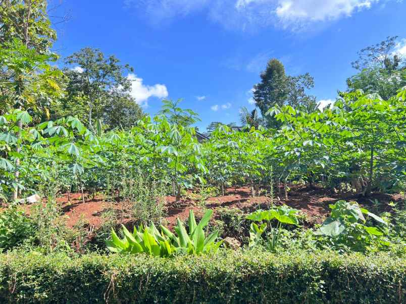 dijual tanah mojogedang karanganyar