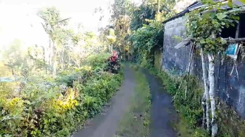 dijual tanah munduk temu kec pupuan