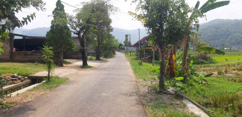 dijual tanah murah ditengah kota pacitan