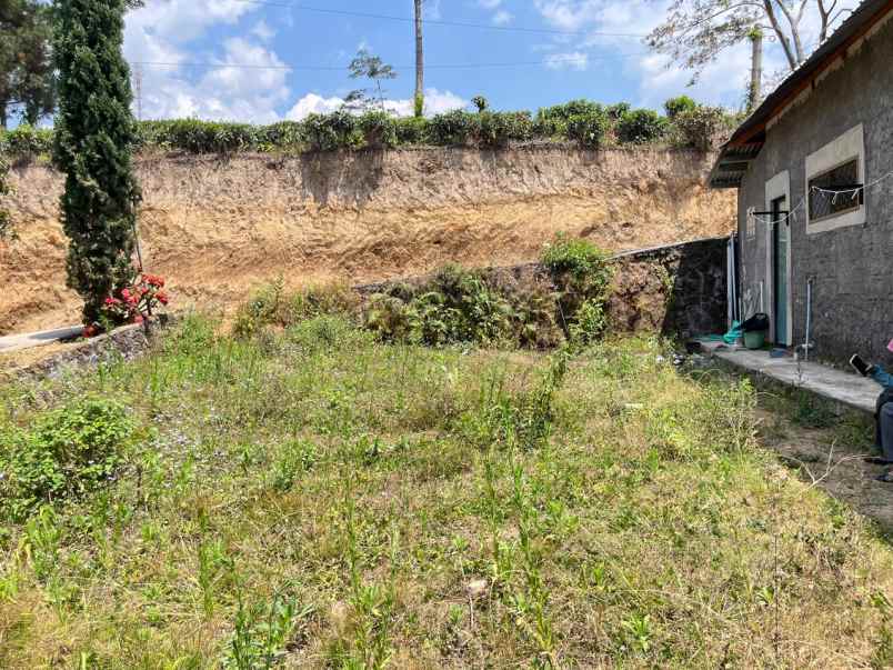 dijual tanah ngargoyoso karanganyar