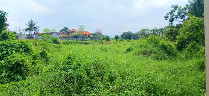 dijual tanah pantai keramas gianyar bali