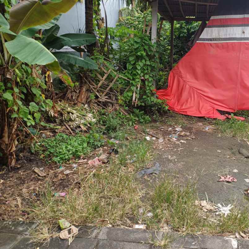 dijual tanah pererenan
