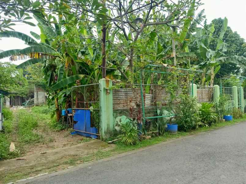dijual tanah perumahan kebun jaya