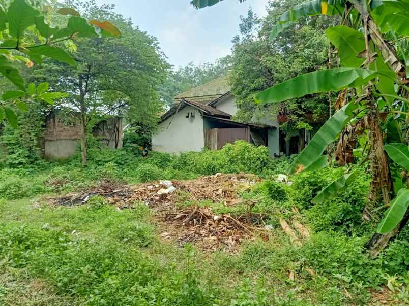 dijual tanah perumahan kebun jaya
