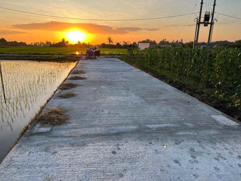dijual tanah premium view laut di kedungu