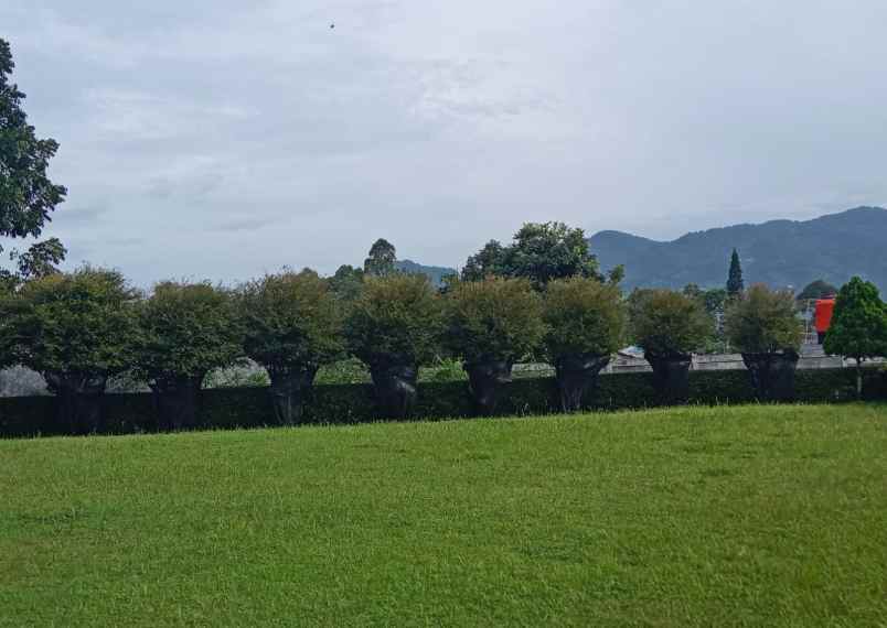 dijual tanah puncak cisarua bogor