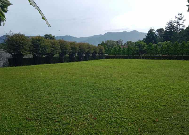 dijual tanah puncak cisarua bogor