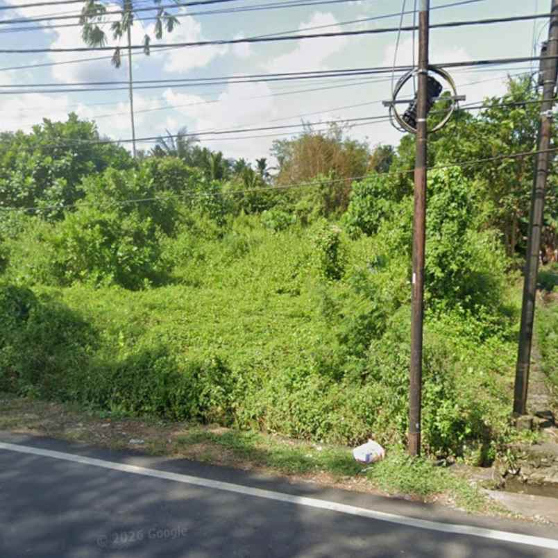 dijual tanah raya denpasar singaraja