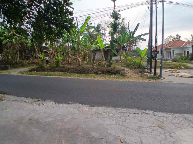 dijual tanah sedayu