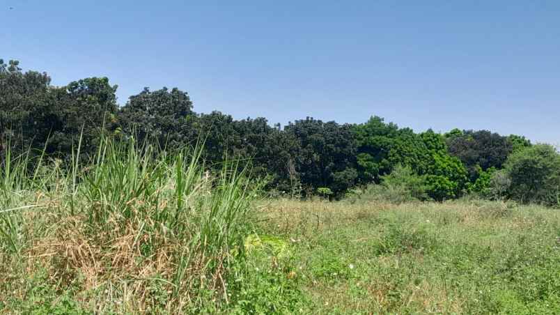 dijual tanah soekarno hatta kodya