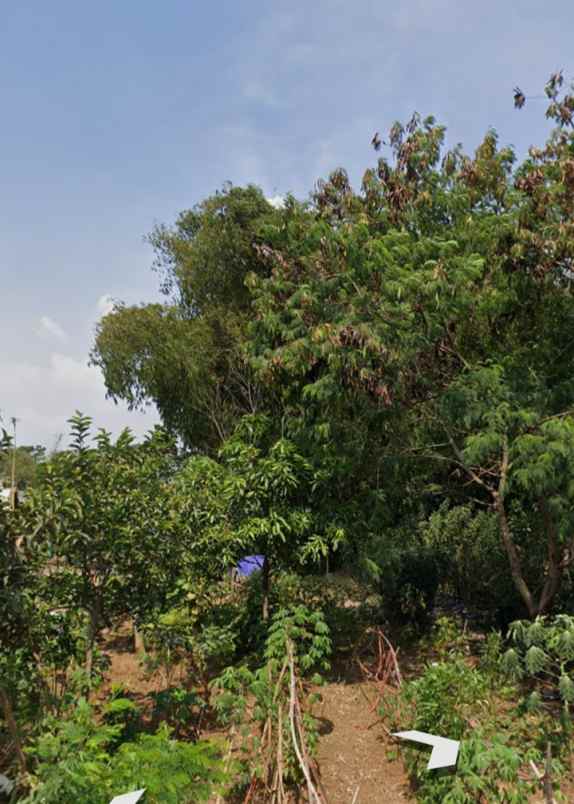 dijual tanah strategis cikeruh jatinangor sumedang