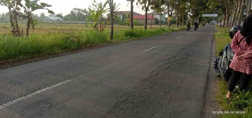 dijual tanah sumberagung moyudan sleman