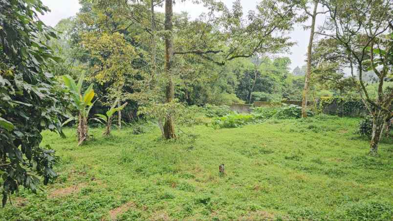 dijual tanah tamansari