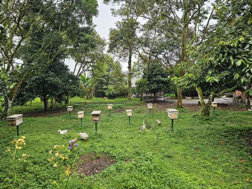 dijual tanah tamansari