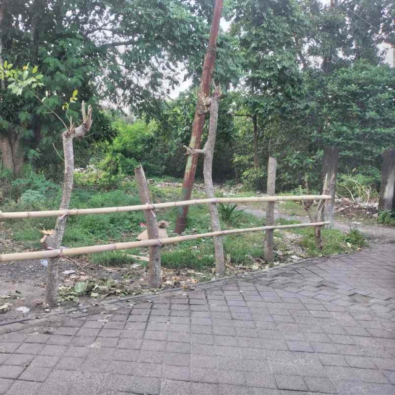 dijual tanah tanjung benoa