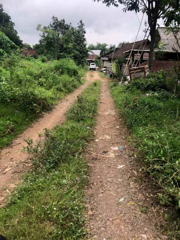 dijual tanah tanjungsari tanjungarum