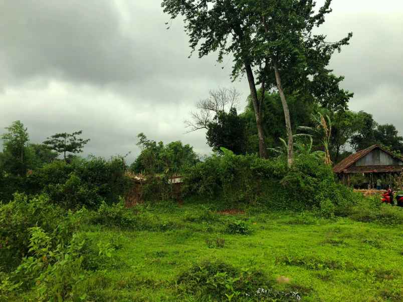 dijual tanah tanjungsari tanjungarum