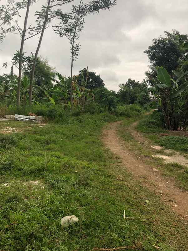 dijual tanah tanjungsari tanjungarum