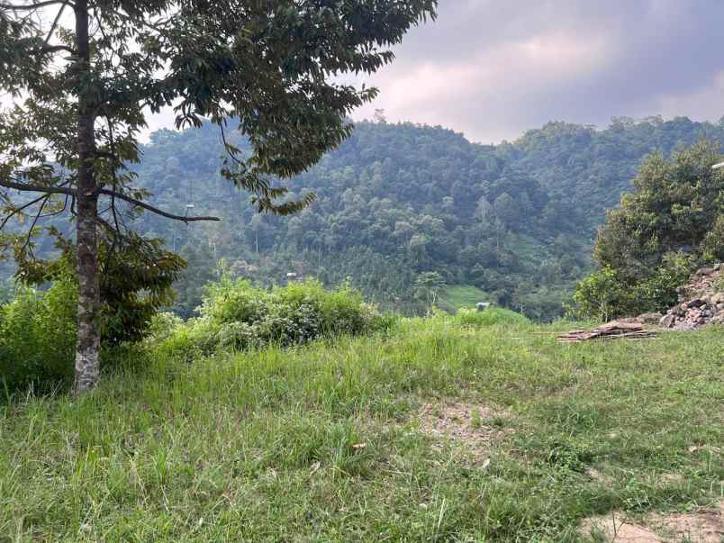 dijual tanah tawangmangu karanganyar