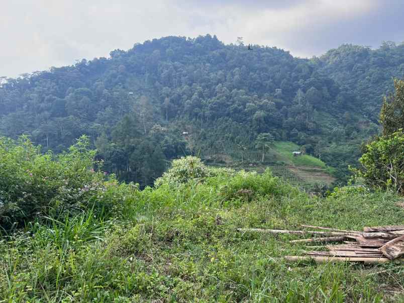 dijual tanah tawangmangu karanganyar