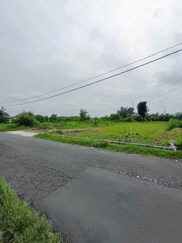 dijual tanah tonggalan wonorejo