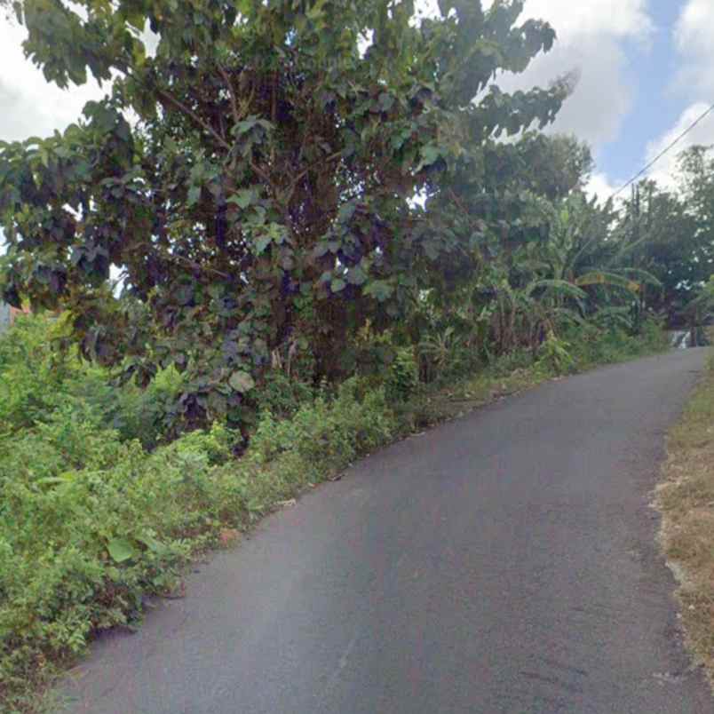 dijual tanah unud raya uluwatu