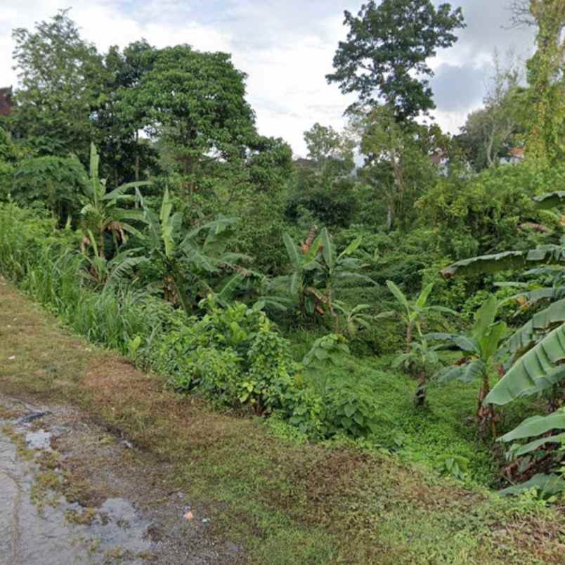 dijual tanah unud raya uluwatu