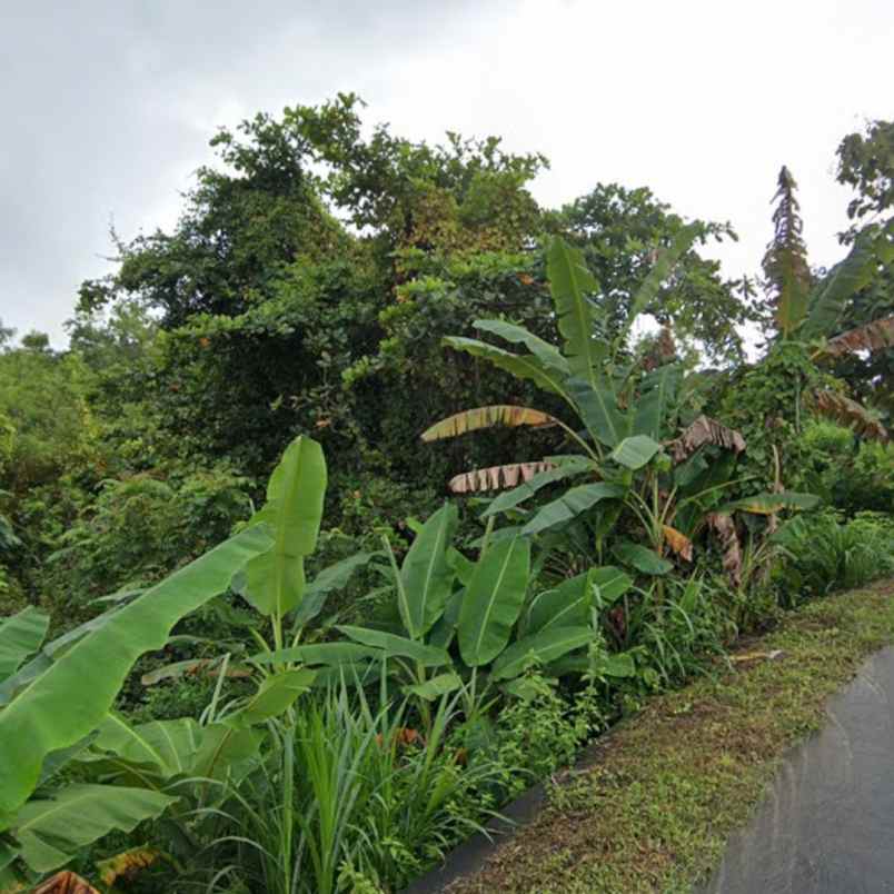dijual tanah unud raya uluwatu
