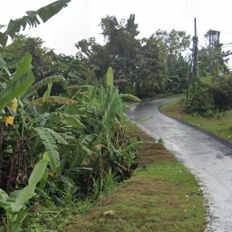 dijual tanah unud raya uluwatu