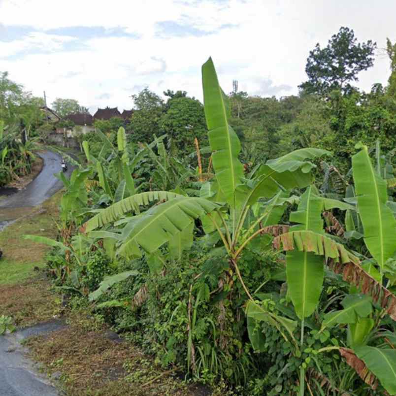 dijual tanah unud raya uluwatu