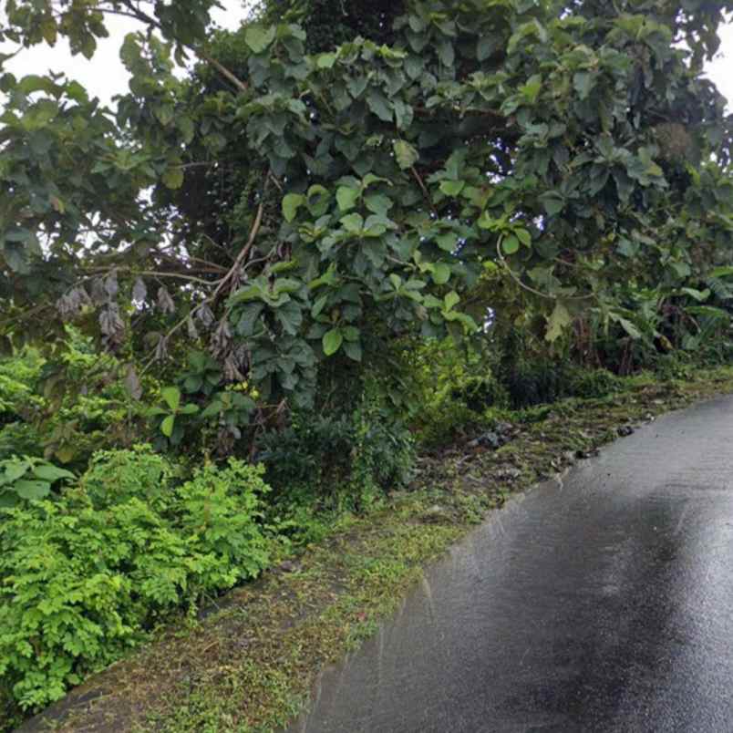 dijual tanah unud raya uluwatu