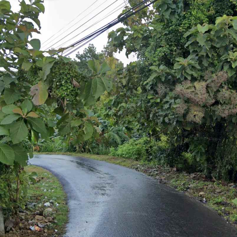 dijual tanah unud raya uluwatu