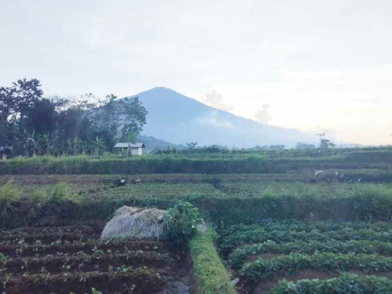 dijual tanah view gunung akses jl mobil
