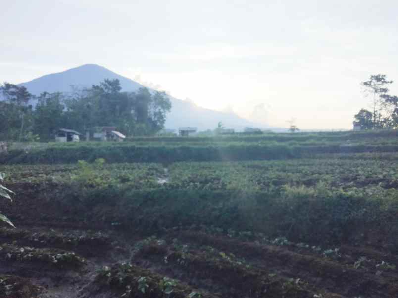 dijual tanah view gunung akses jl mobil