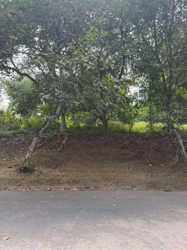 dijual tanah villa trinity jl sersan