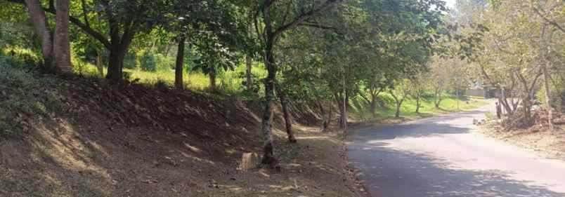 dijual tanah villa trinity jl sersan