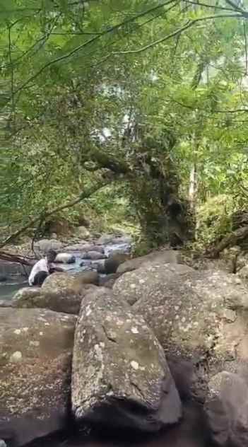 dijual tanah wanagiri kauh selemadeg