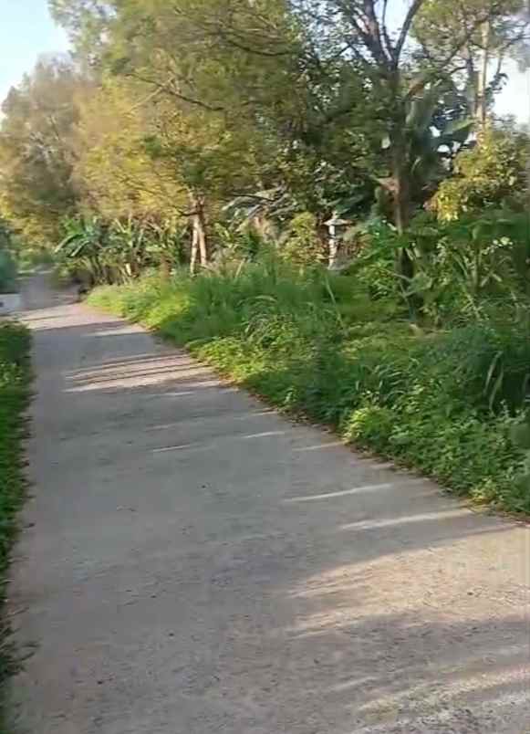 dijual tanah wanagiri singaraja bali