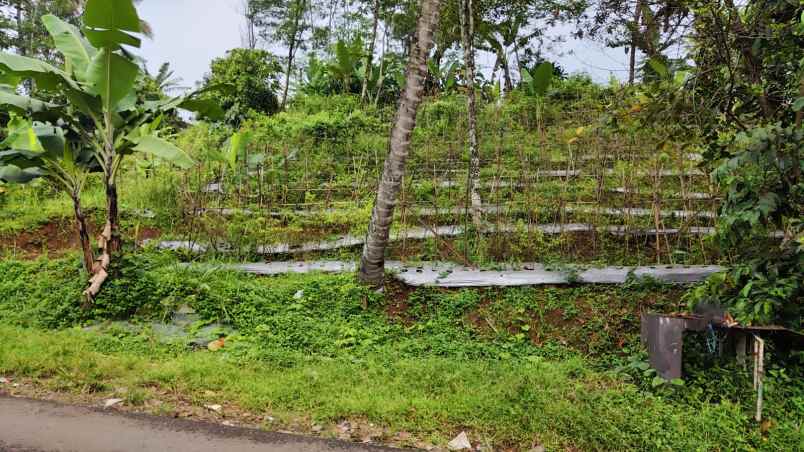 dijual tanah wanayasa