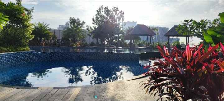 disewakan apartemen jl putri hijau mall