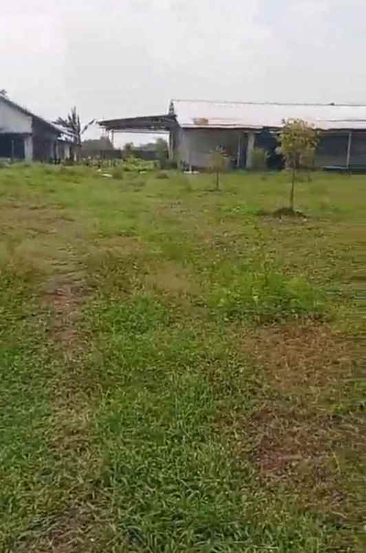 disewakan gudang di gurah kediri